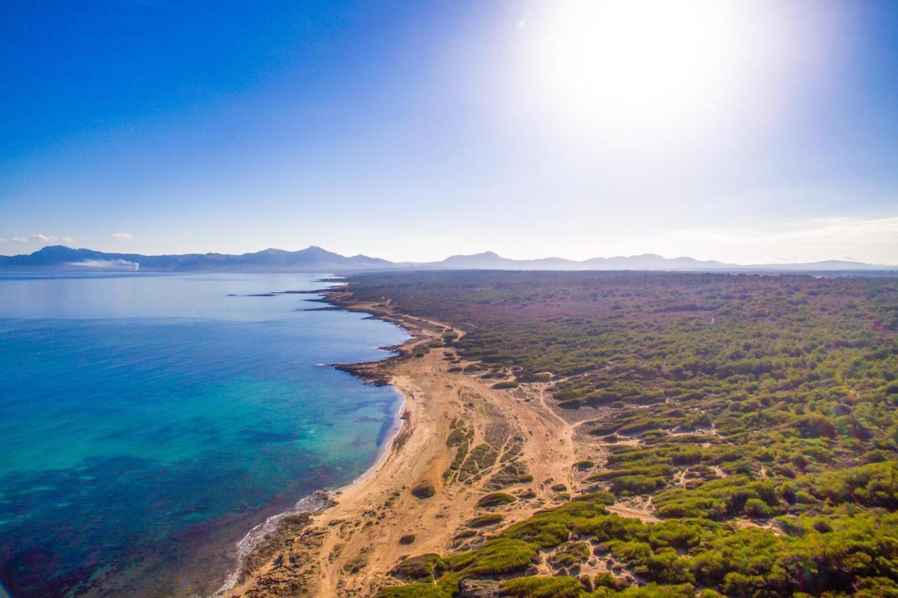 Ideal Property Mallorca - Casa Catalina Ferienhaus